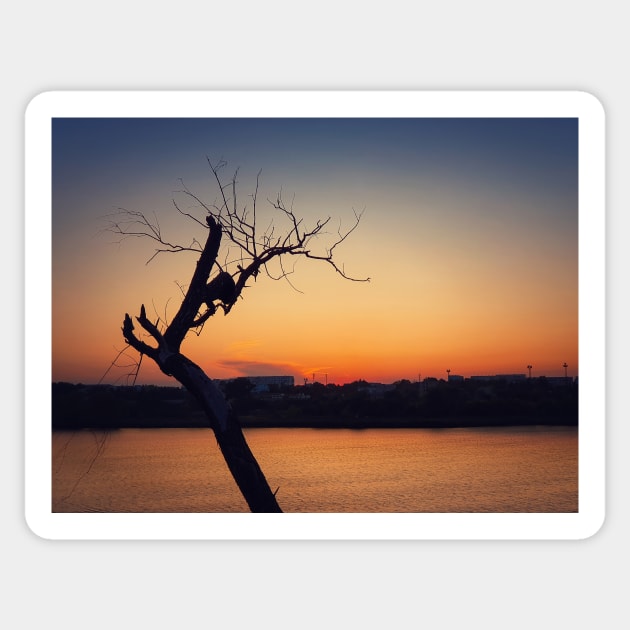 dry tree over sunset Sticker by psychoshadow